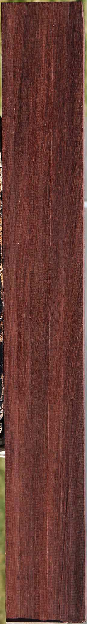 Madagascar Rosewood Micro Lumber
