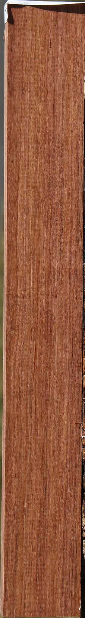 Madagascar Rosewood Lumber