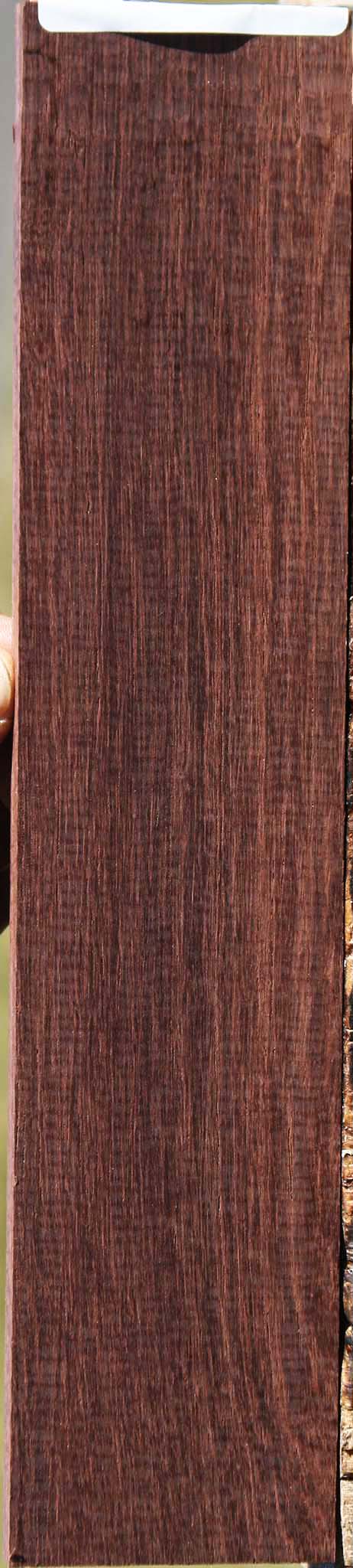 Madagascar Rosewood Micro Lumber