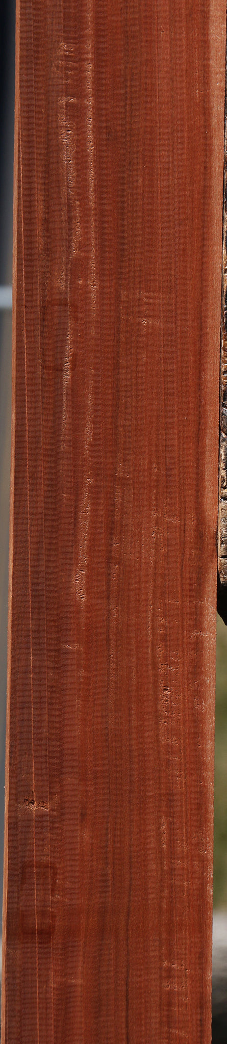 Extra Fancy Fiddleback Patagonian Rosewood Lumber