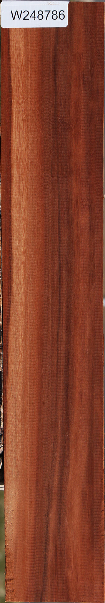 Patagonian Rosewood Lumber
