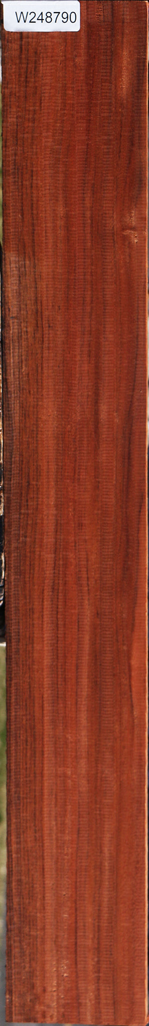 Figured Patagonian Rosewood Lumber
