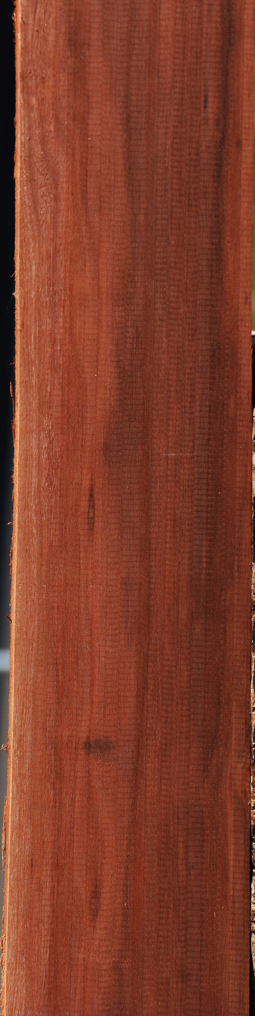 Patagonian Rosewood Lumber