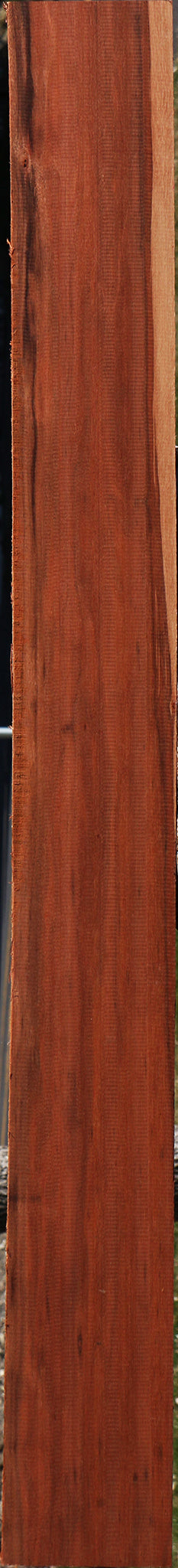 Patagonian Rosewood Lumber