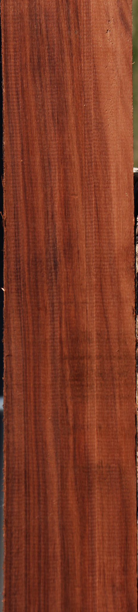 Patagonian Rosewood Lumber