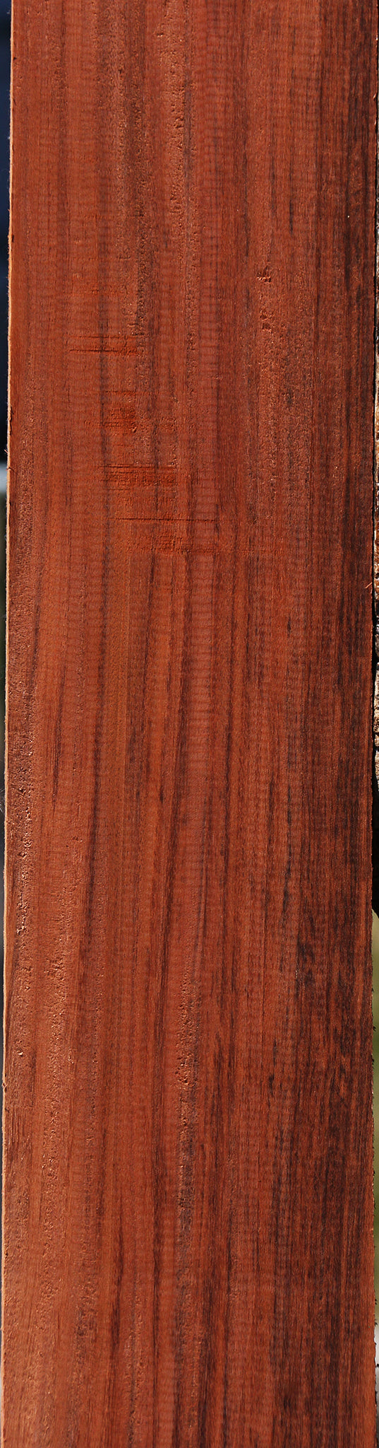 Figured Quartersawn Patagonian Rosewood Lumber
