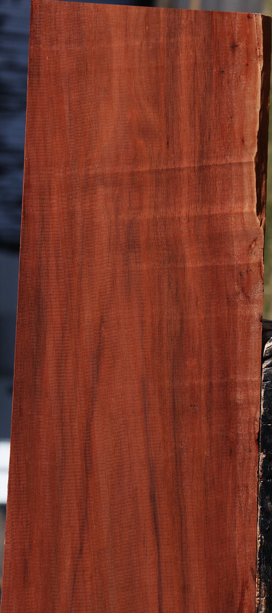 Patagonian Rosewood Lumber