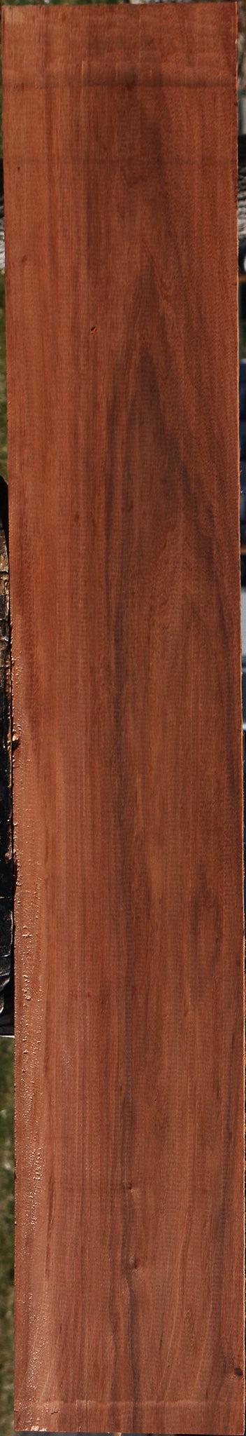Patagonian Rosewood Lumber