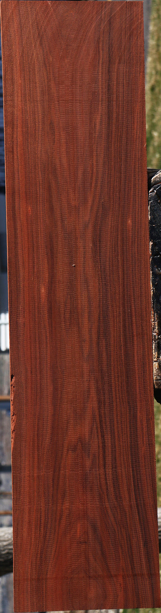 Figured Patagonian Rosewood Lumber