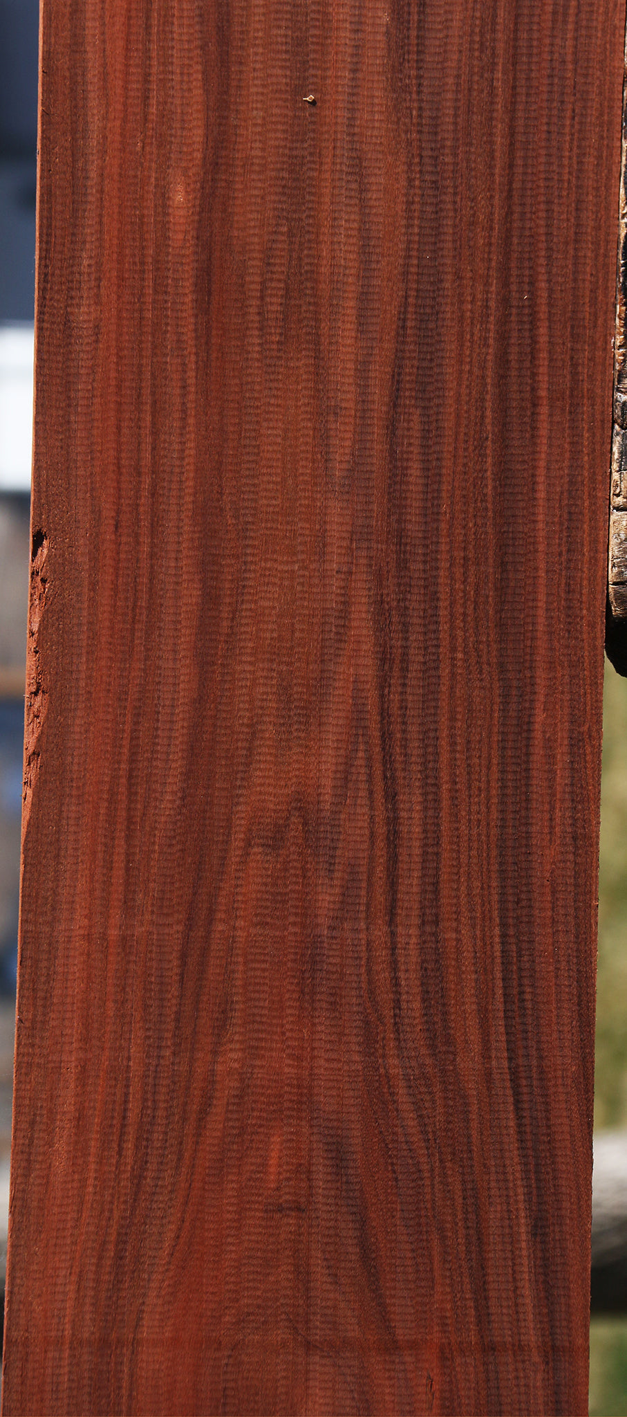 Figured Patagonian Rosewood Lumber