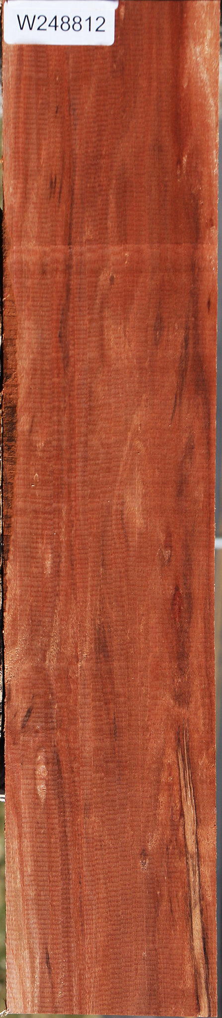 Patagonian Rosewood Lumber