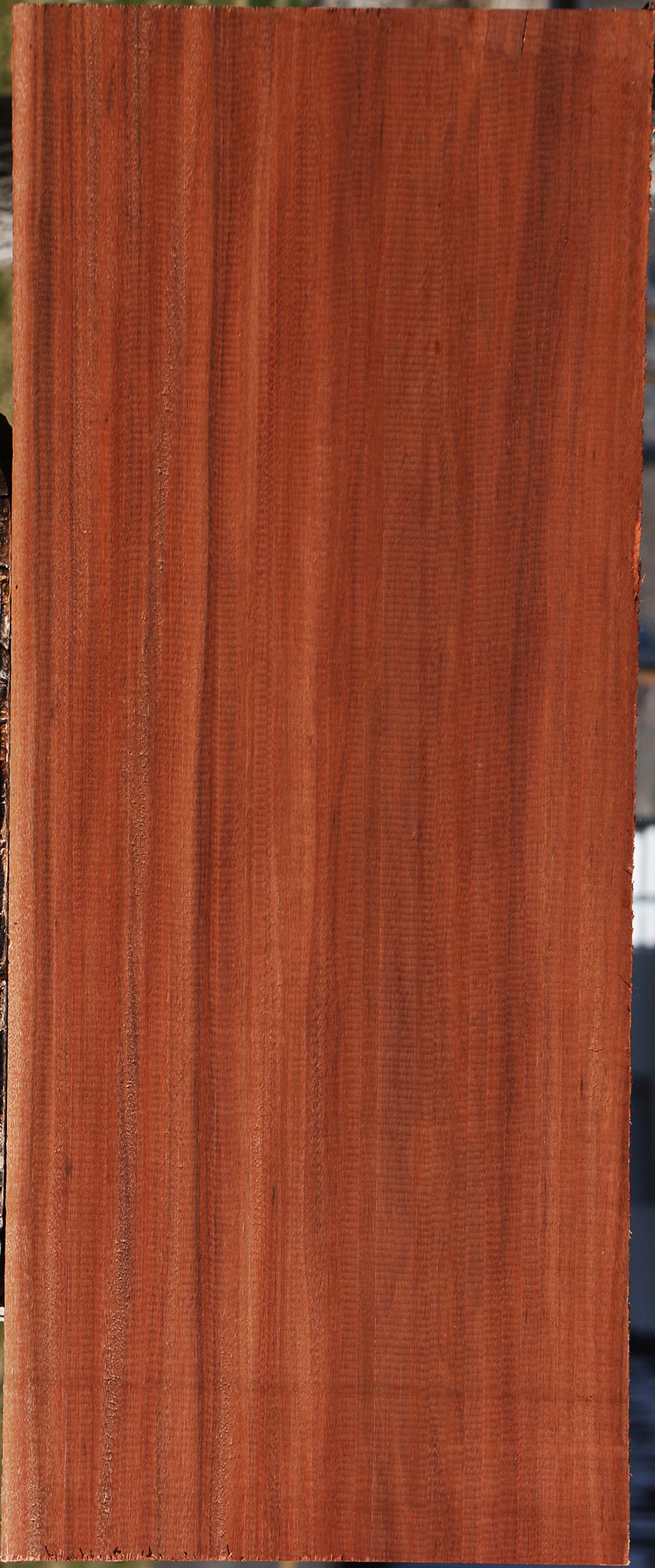 Extra Fancy Patagonian Rosewood Lumber