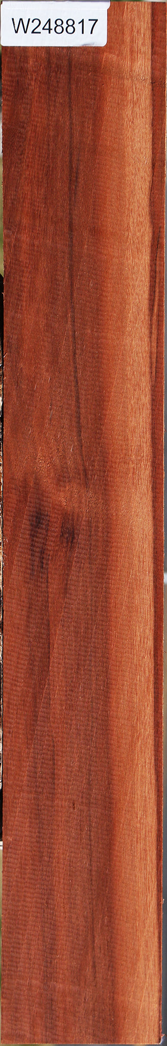 Patagonian Rosewood Lumber