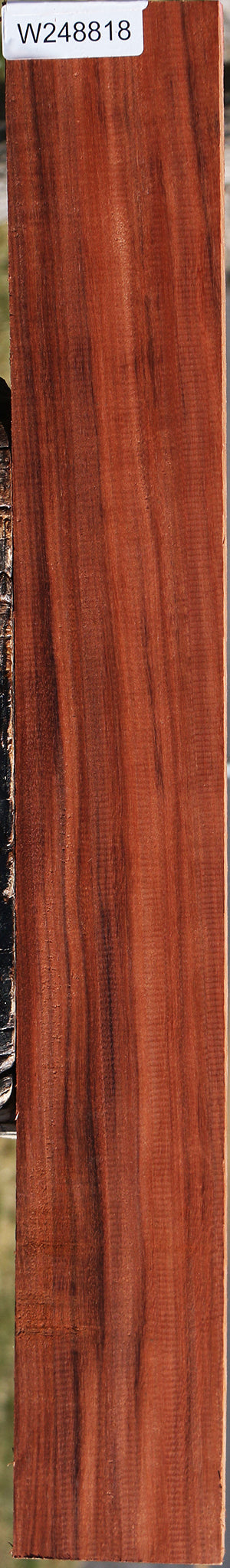 Figured Patagonian Rosewood Lumber