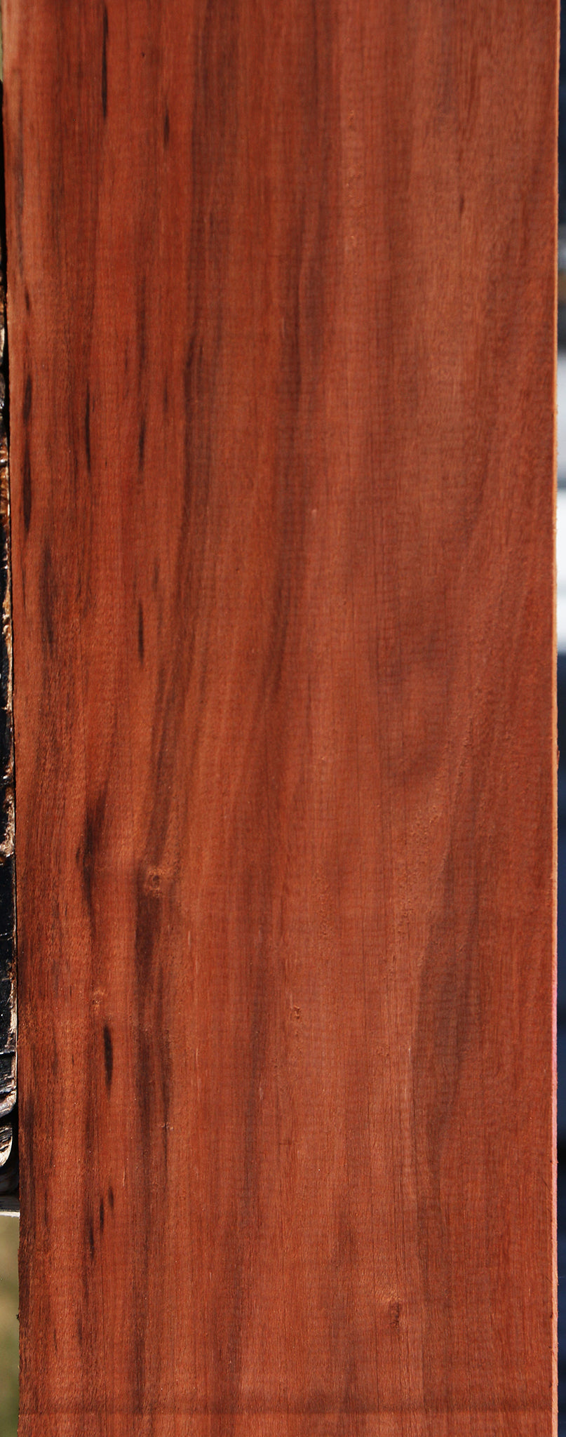 Patagonian Rosewood Lumber