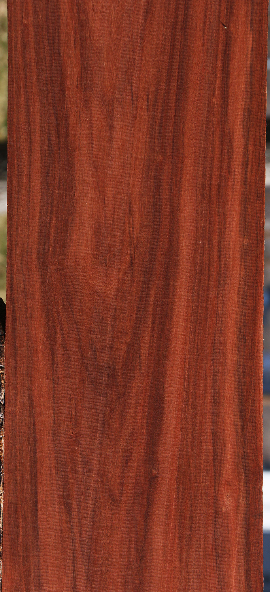 Figured Patagonian Rosewood Lumber