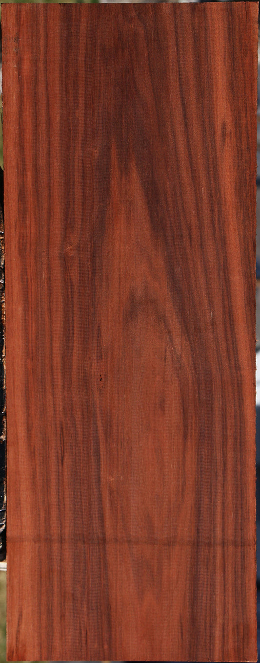 Patagonian Rosewood Lumber