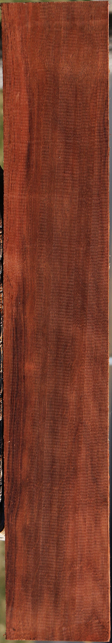 Patagonian Rosewood Lumber