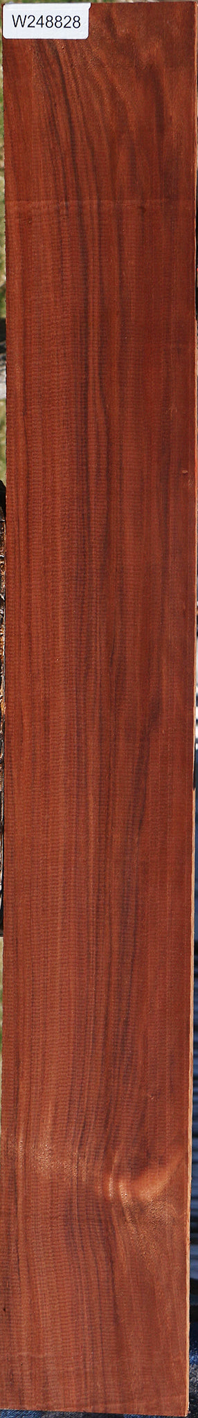 Patagonian Rosewood Lumber