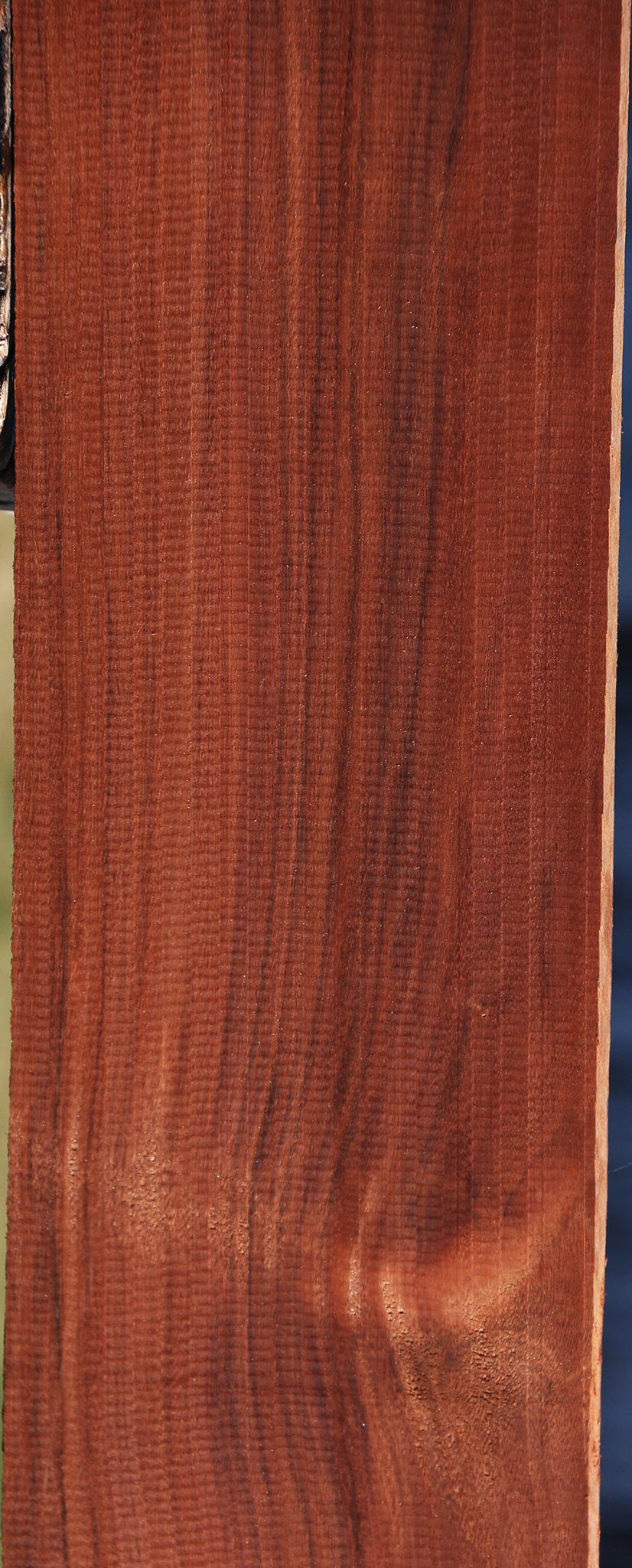 Patagonian Rosewood Lumber