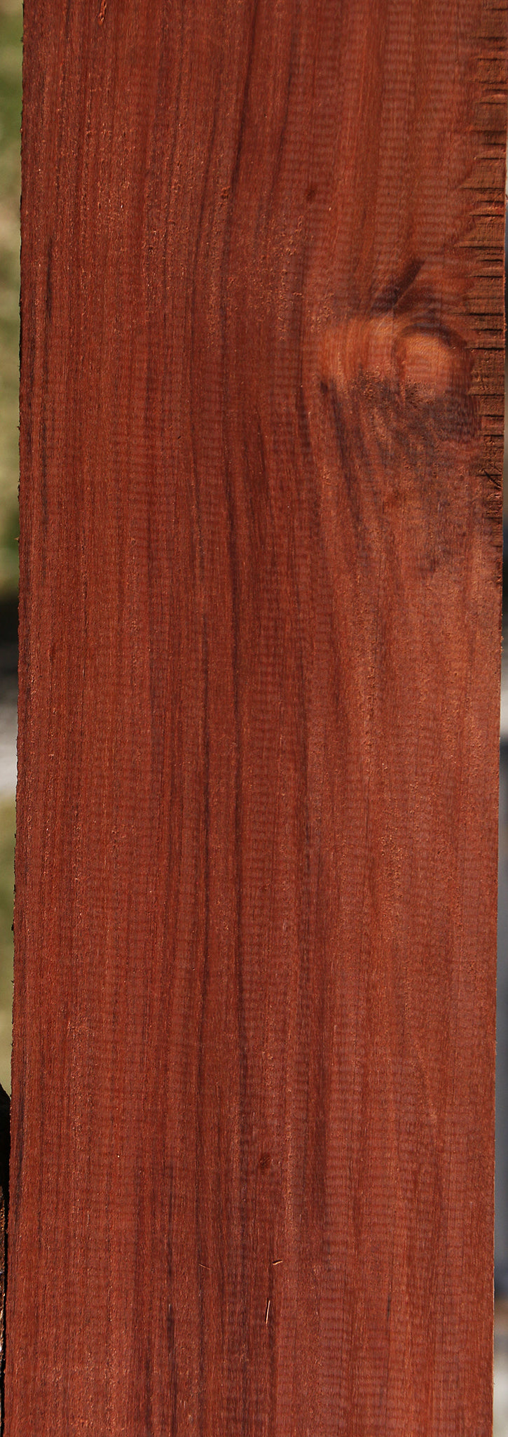 Patagonian Rosewood Lumber