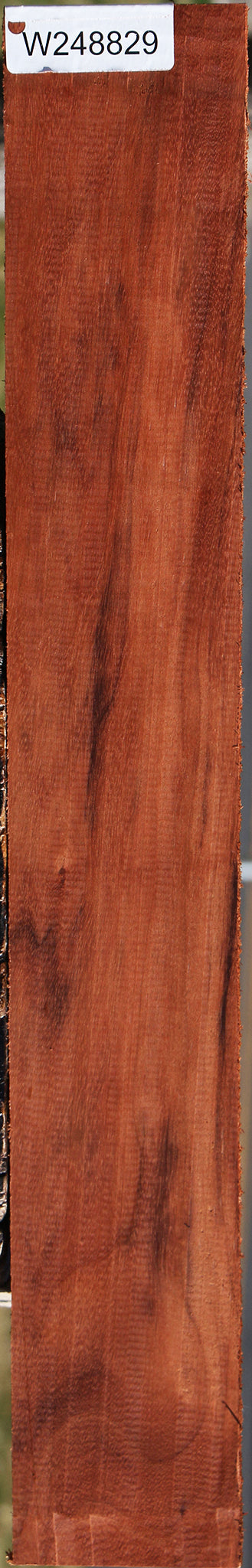 Patagonian Rosewood Lumber