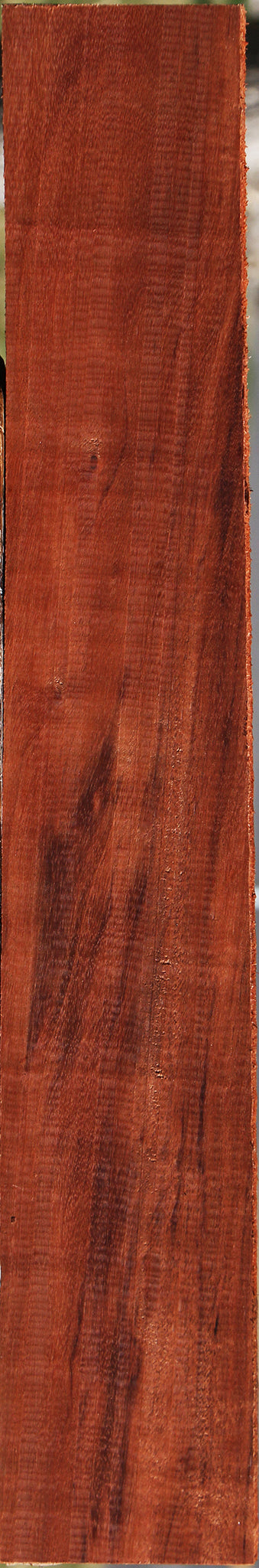 Patagonian Rosewood Lumber