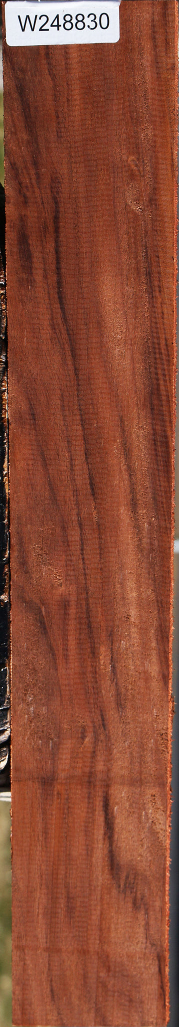Patagonian Rosewood Lumber