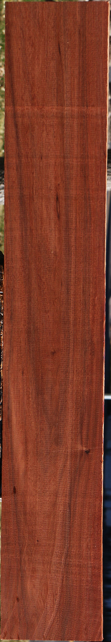 Patagonian Rosewood Lumber