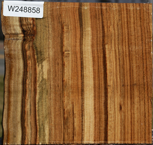 Pistachio Live Edge Bowl Blank