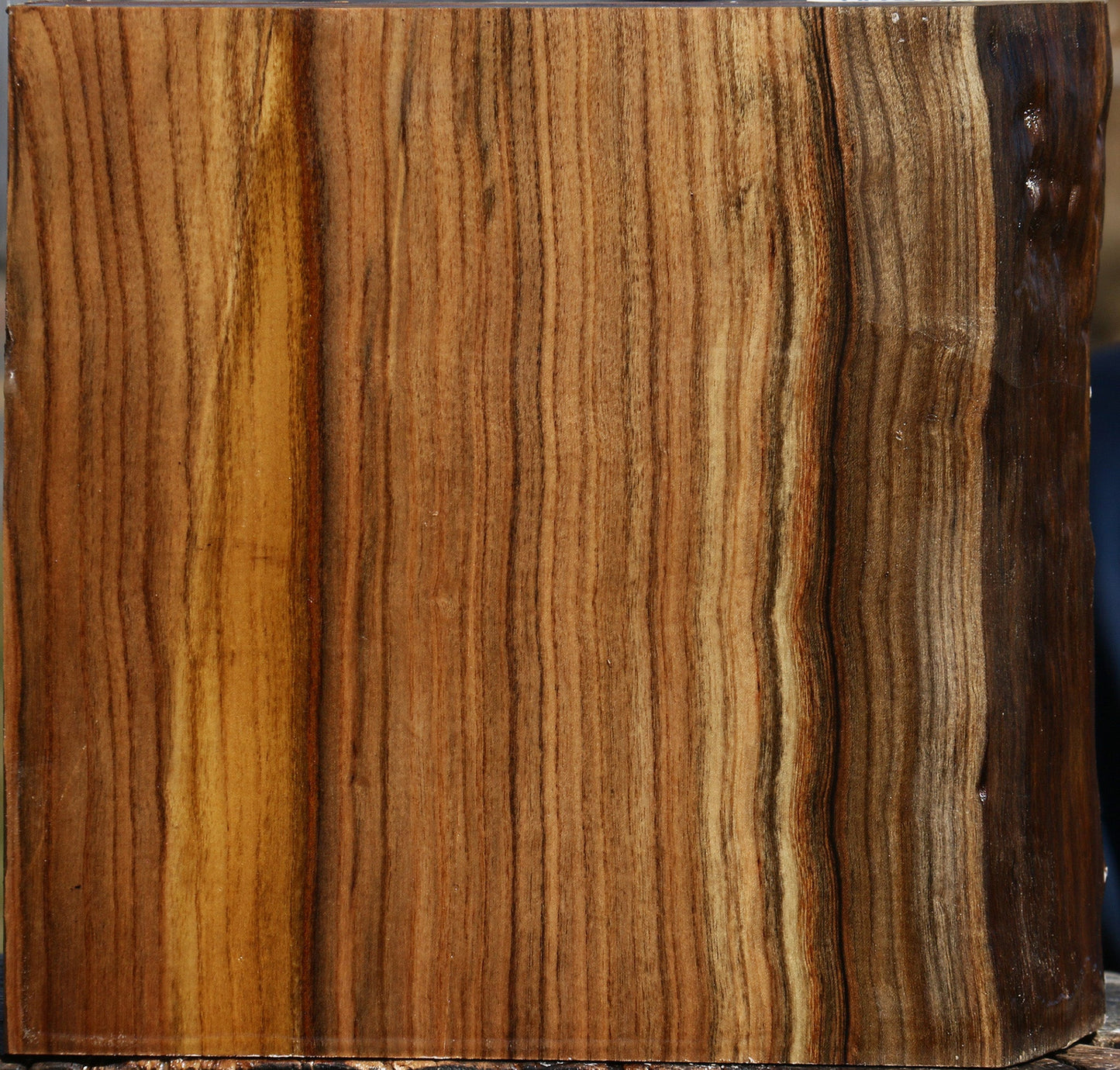 Pistachio Live Edge Bowl Blank