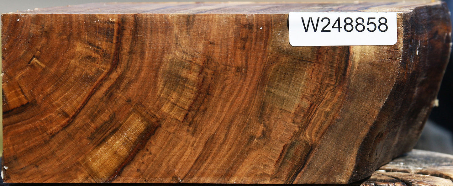 Pistachio Live Edge Bowl Blank