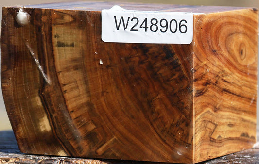Pistachio Live Edge Bowl Blank