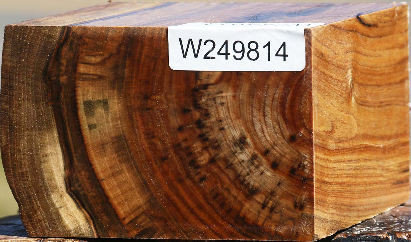 Pistachio Live Edge Bowl Blank