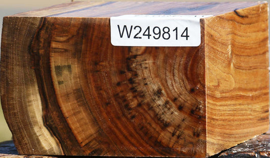 Pistachio Live Edge Bowl Blank