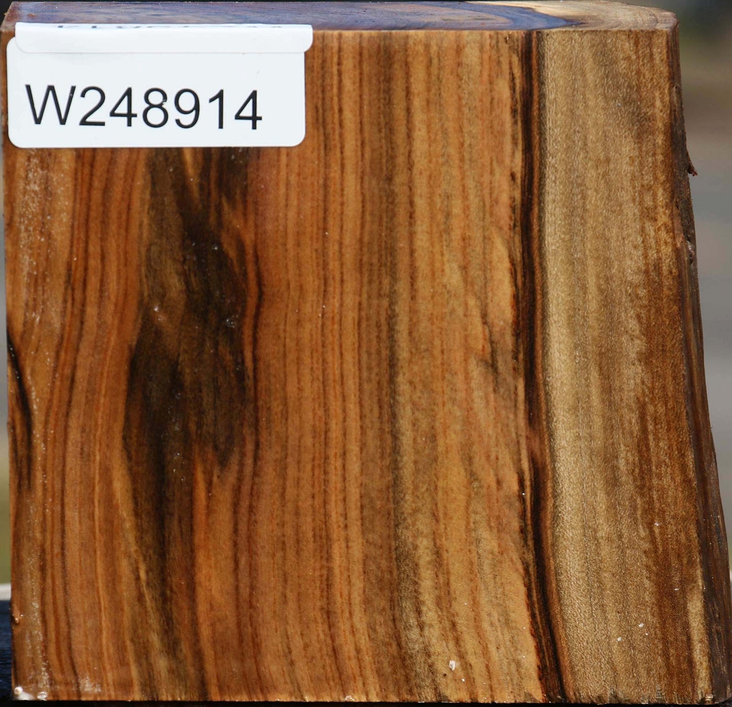 Pistachio Live Edge Bowl Blank