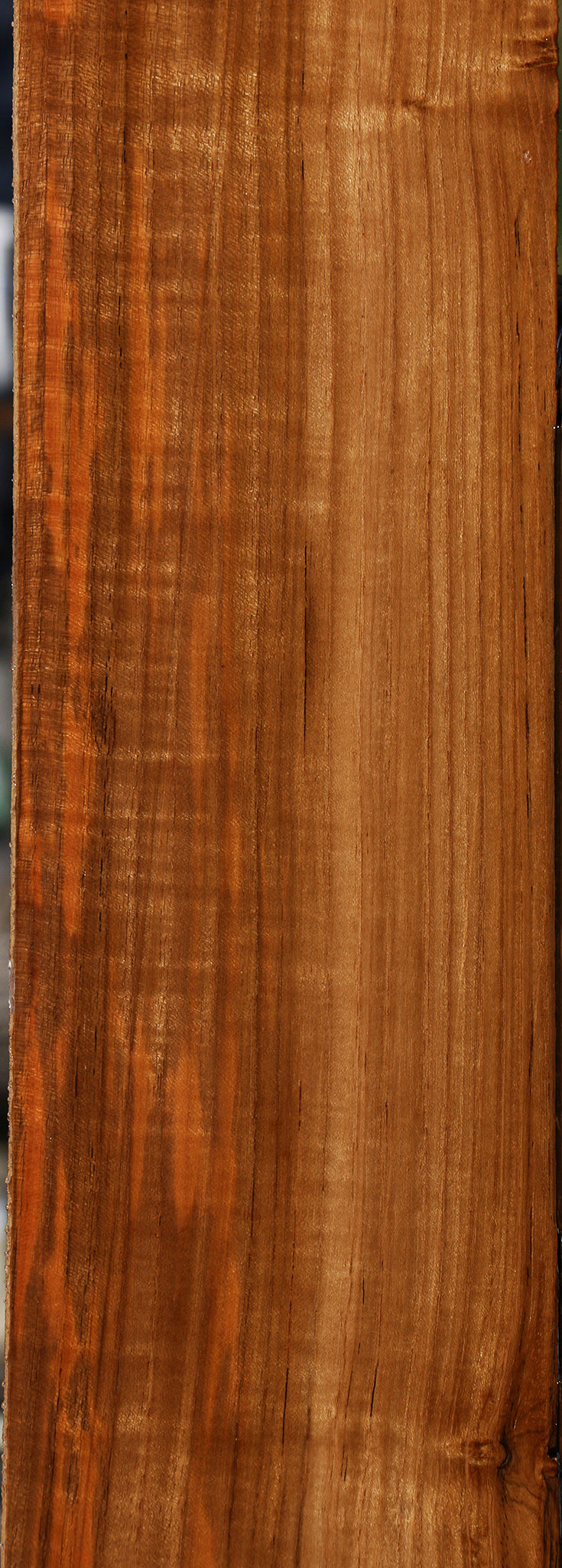 Extra Fancy Fiddleback Quartersawn Burma Teak Lumber