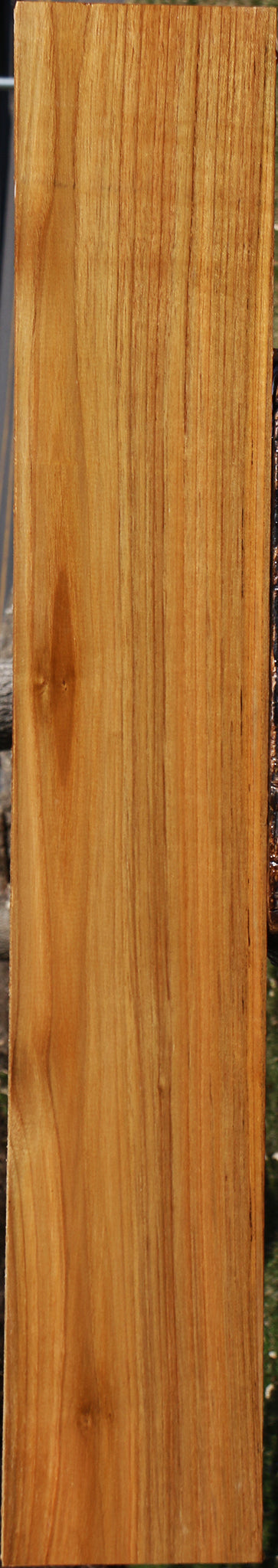 Burma Teak Lumber