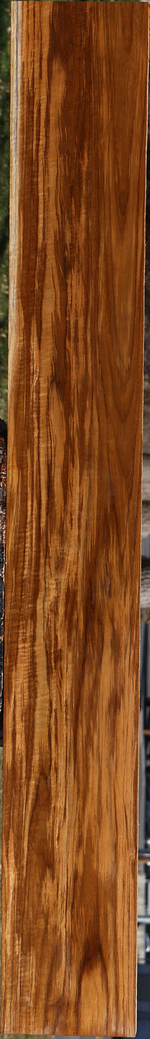 Extra Fancy Fiddleback Burma Teak Lumber