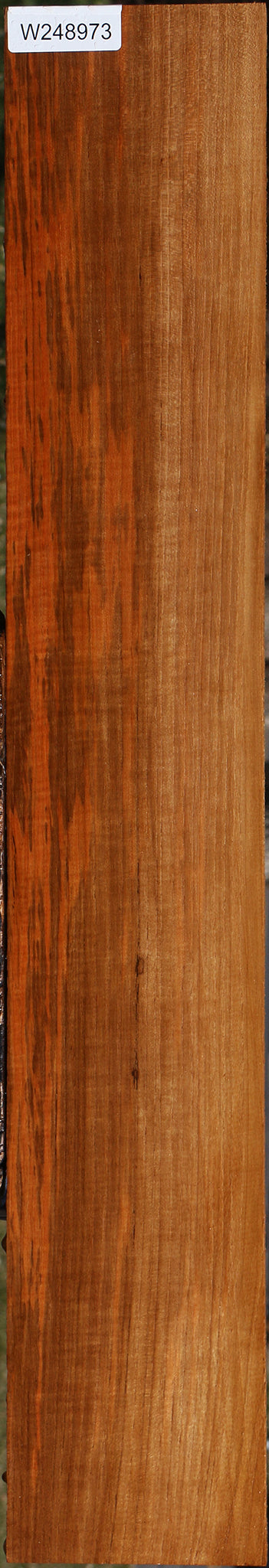 Extra Fancy Fiddleback Burma Teak Lumber