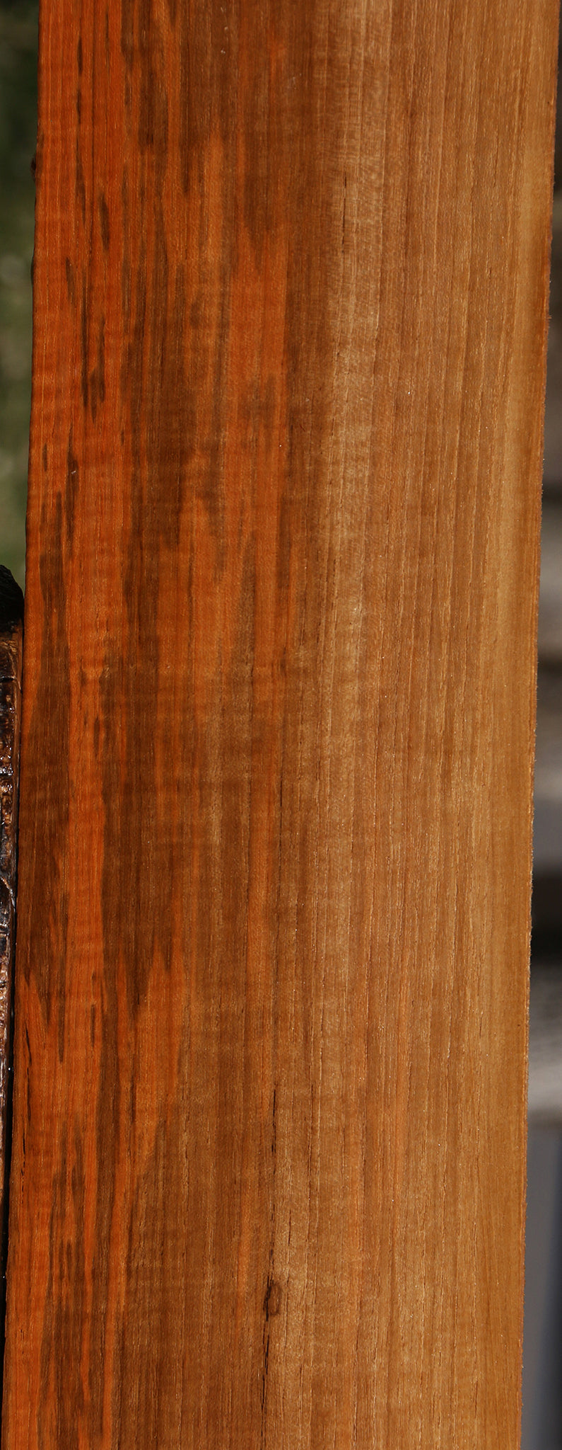 Extra Fancy Fiddleback Burma Teak Lumber
