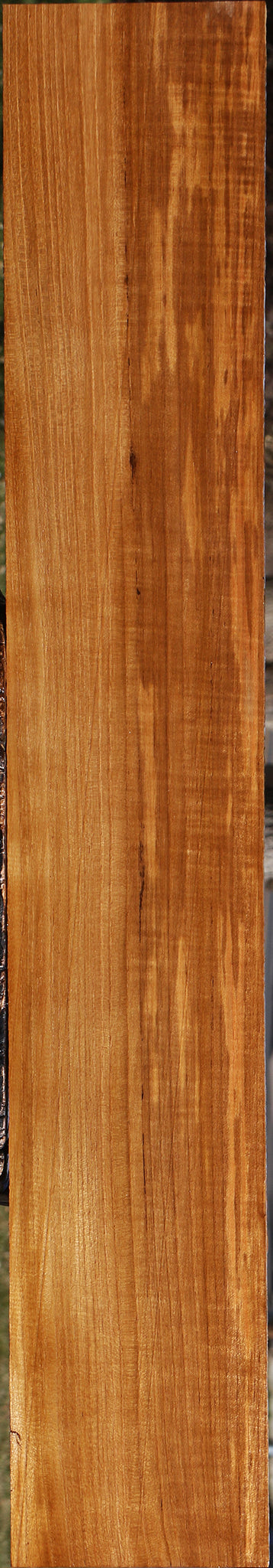 Extra Fancy Fiddleback Burma Teak Lumber