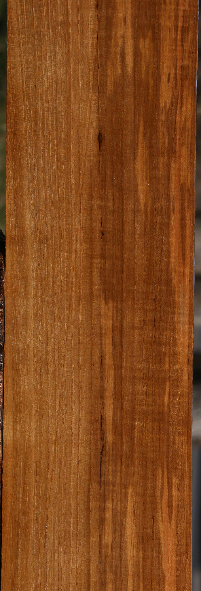 Extra Fancy Fiddleback Burma Teak Lumber