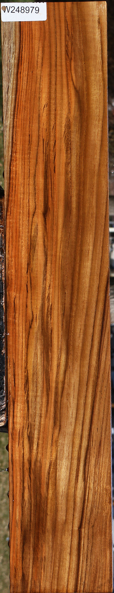 Extra Fancy Fiddleback Burma Teak Lumber