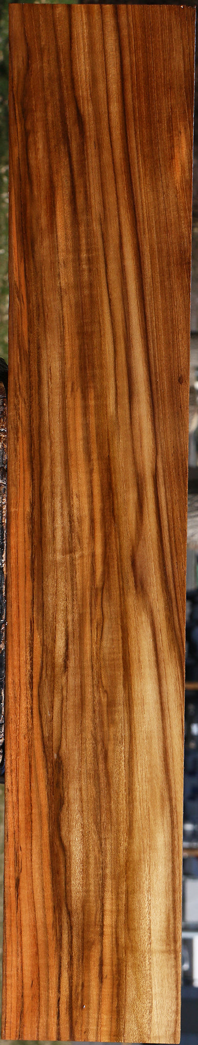 Extra Fancy Fiddleback Burma Teak Lumber