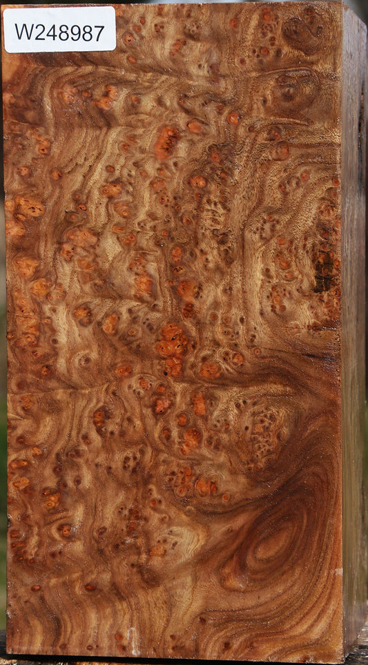 Elm Burl Vessel Blank