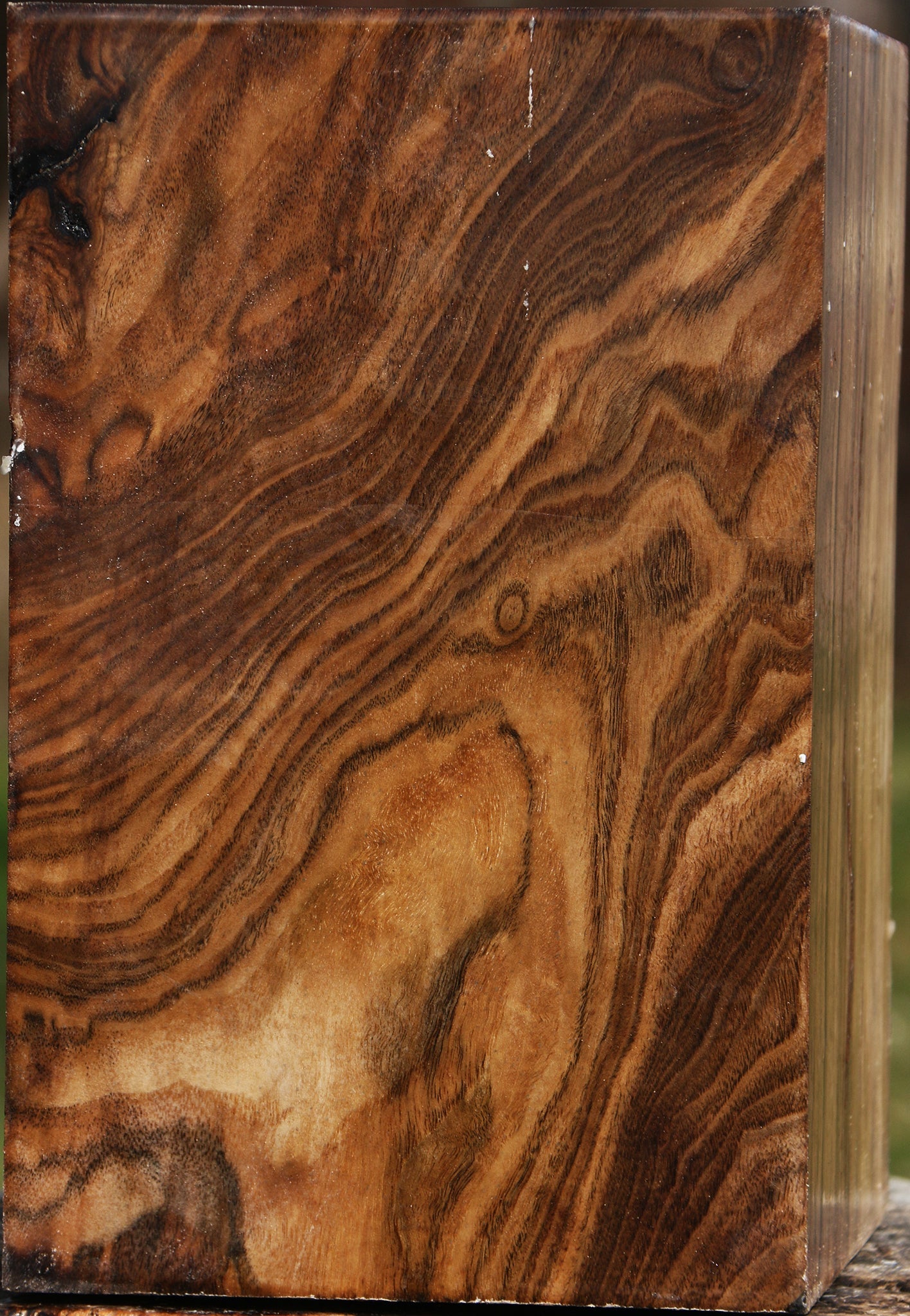 Extra Fancy Claro Walnut Vessel Blank