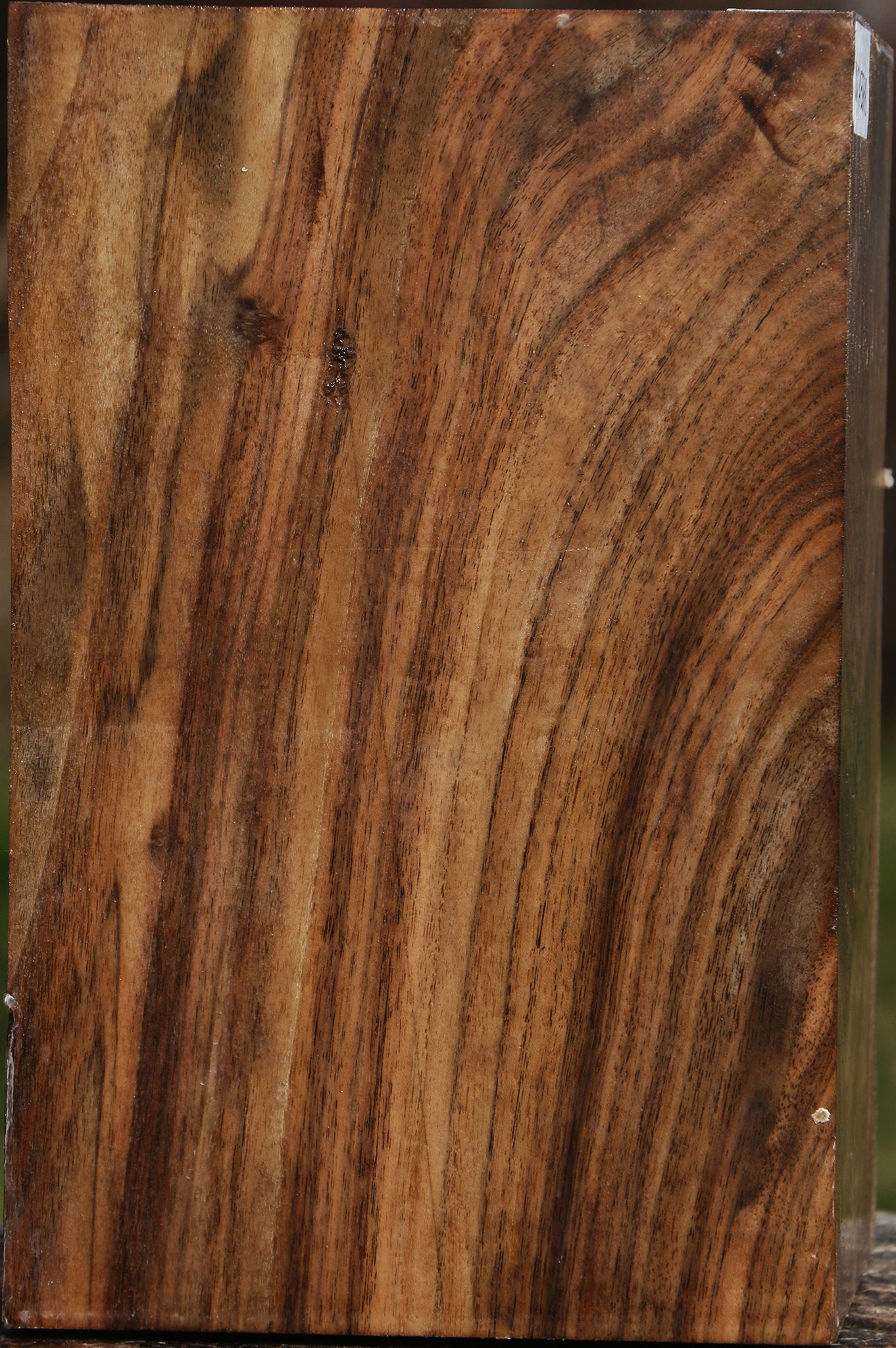 Extra Fancy Claro Walnut Vessel Blank