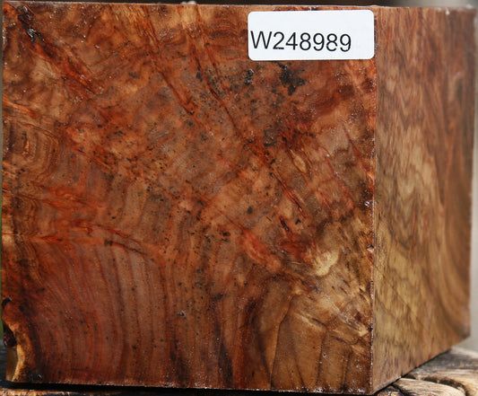 Elm Burl Vessel Blank