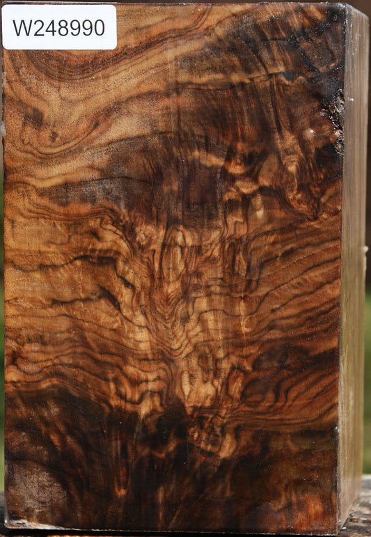 Extra Fancy Claro Walnut Vessel Blank
